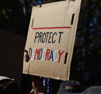 Protest Sign - Protect Democracy