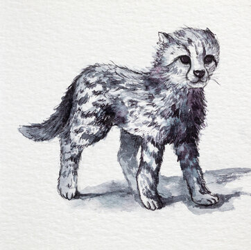 Little cheetah drawing