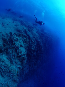scubadivers are coming down from a slope underwater wall