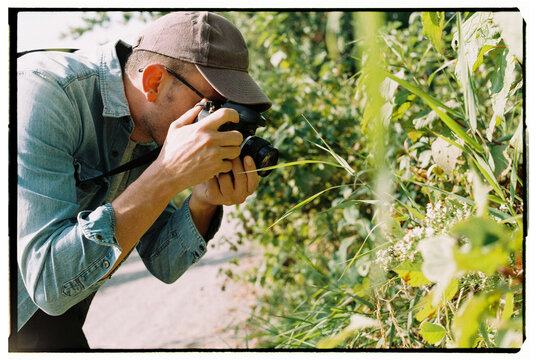 Capturing Nature's Beauty Along a Sunny Country Road