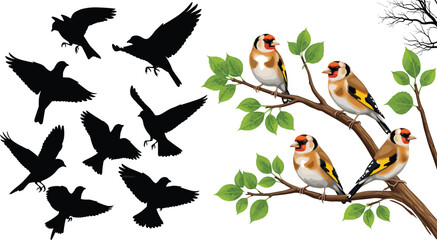 Fototapeta premium Bird silhouettes and realistic goldfinch birds on branches with green leaves, wildlife nature vector illustration set for design and decorative use