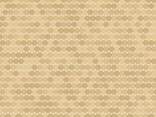 Fototapeta premium Organic Honeycomb Drip Pattern Natural Design