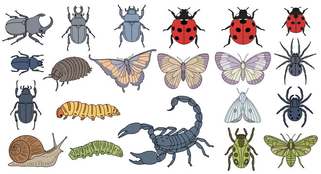 Insect icons, bug illustrations, 20 creepy crawlies, vector set