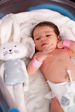 Newborn Baby Yawning in Hospital Bassinet
