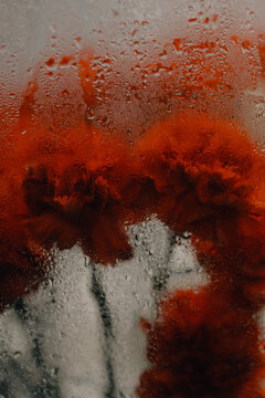 flowers behind fogged glass with droplets
