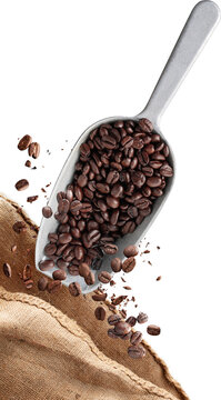 Roasted Coffee Beans in Metal Scoop with Burlap Sack isolated on transparent background