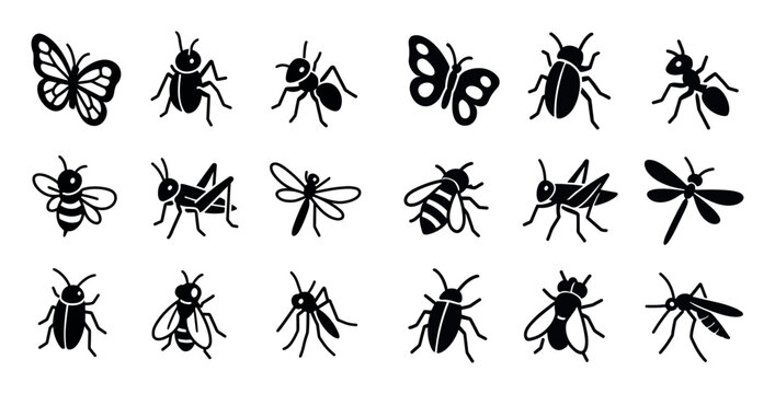 Nature icons with butterfly beetle ant silhouette