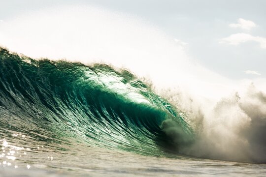Ocean Wave 