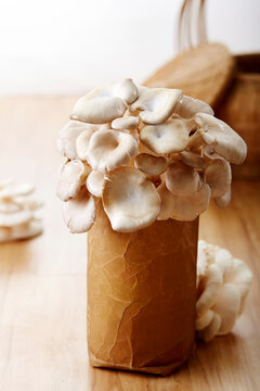 Fresh ingredients, including fresh mushroom packs