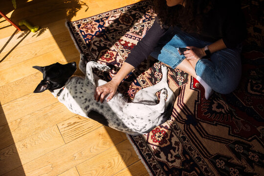 Woman Petting Black and White Dog on Rug