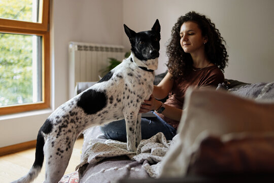 Relaxed Woman With Black Spotted Dog At Home