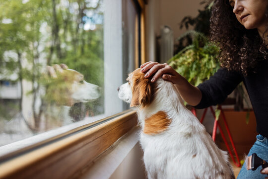 Woman Petting Dog By Window At Home