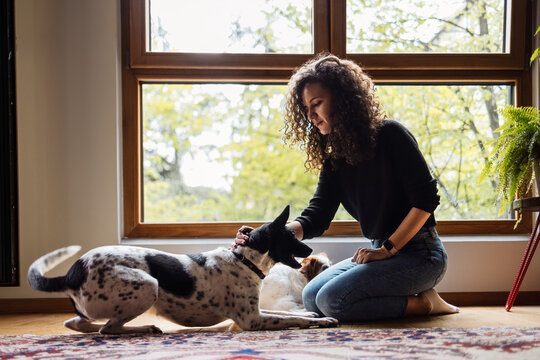 Woman And  Dog Inside Home Playing
