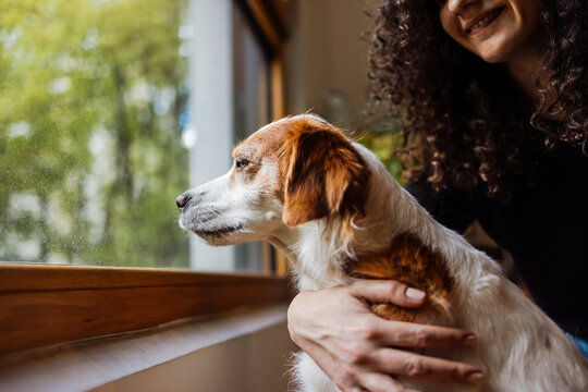 Woman Holds Dog By Window Looking Outside