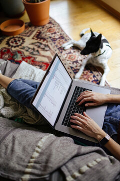Cozy Home Office With Laptop And Dog Nearby