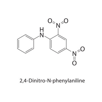 2,4-Dinitro-N-phenylaniline skeletal structure. amine compound schematic illustration. Simple diagram, chemical formula.