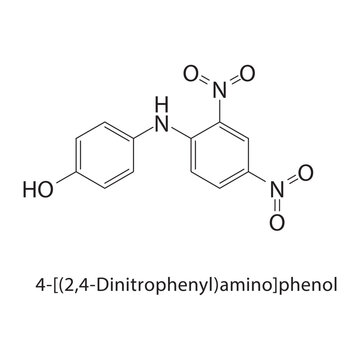 4-[(2,4-Dinitrophenyl)amino]phenol skeletal structure. amine compound schematic illustration. Simple diagram, chemical formula.