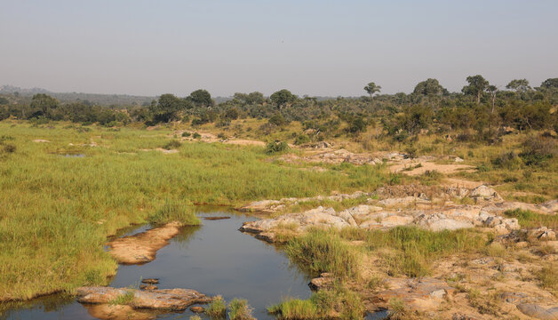 Afrikanischer Busch - Kr&uuml;gerpark - Biyamiti River / African Bush - Kruger Park - Biyamiti River /