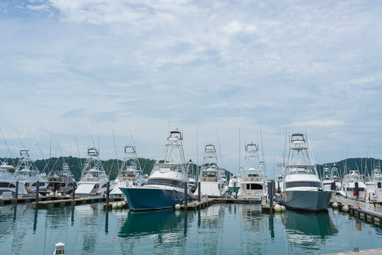 Luxury yachts and sailboats moored at the marina dock