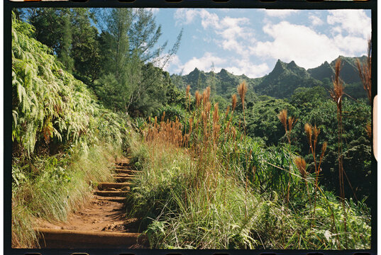 tropical hiking trail kauai Kalalau
