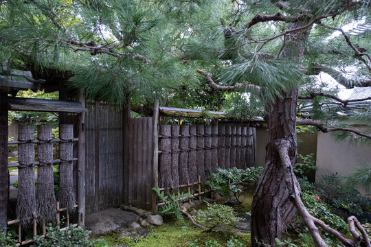 Traditional Japanese Garden Entrance