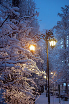 Street light in snowy street