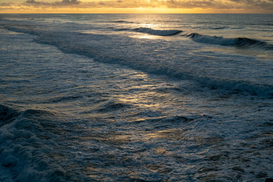 A wave bathed in sunlight 