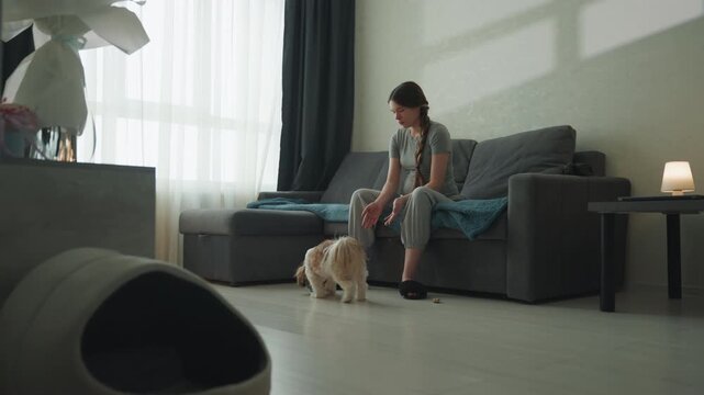 Pregnant caucasian woman on sofa playing, reaching to give treat and petting eager small dog, sunlight through curtains, casual jeans outfit, joyful intimate domestic scene, prenatal connection