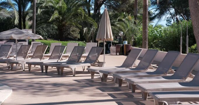 PORTOCOLOM, MALLORCA, SPAIN - OCTOBER, 2025: Rows of inviting sun loungers under bright midday sun and palms at background, strong contrast, shadows and highlights