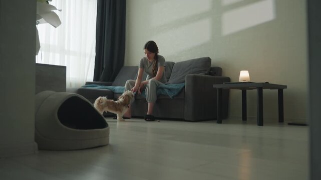 Wide shot living room trainer engages dog near bed, calm practice scene with pet bed in foreground, soft window light and minimal interior patient owner guides obedience with treats and gentle