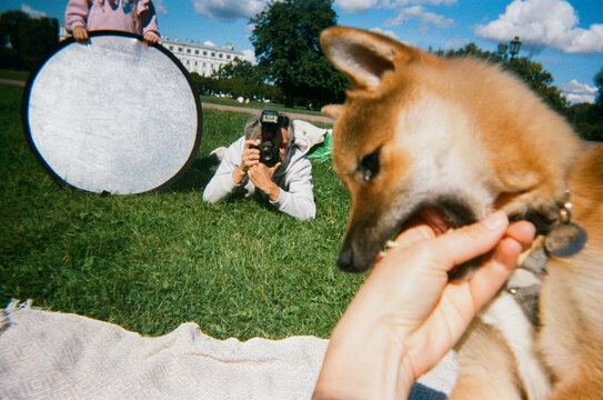 Film UGC, Playful Outdoor Photo Shoot With Puppy and Photographer