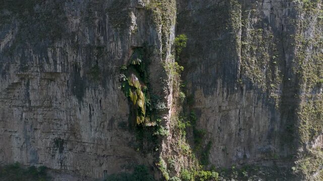 Iconic "&Aacute;rbol de Navidad" (Christmas Tree) moss-covered rock formation with water trickling down into the Sumidero Canyon at Grijalva River, Chiapas. Mexico.