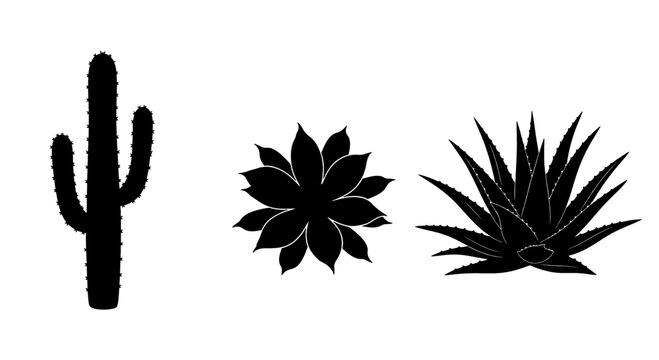 Silhouettes of desert plants including a cactus and succulents on a white background