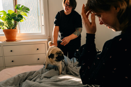 People and Pug in a Cozy Room During the Day
