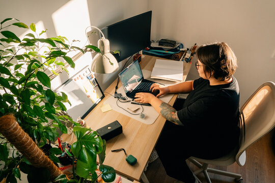 Person Works at Desk With Computer and Plants in a Warm Room