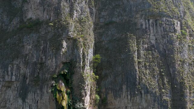 Towering Limestone Cliffs and Lush Vegetation in Sumidero Canyon. Chiapas, Mexico.