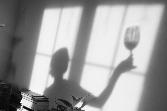 Person's shadow raising wine glass in light