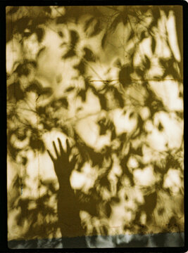 Hand shadow on sunlit wall