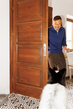 Dog greets at doorway