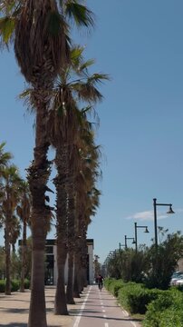 Vertical video of man riding bike at the Malvarrosa beach in Valencia, Spain.   