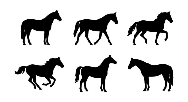 Black horse silhouette set, 6 equine animal vectors, galloping and standing horse icons