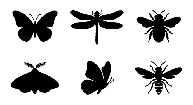 Black insect silhouette collection, set of 6 butterfly and dragonfly icons, minimalist bee and moth vector graphics for nature logos and branding