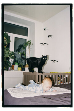 Baby plays on bed while cat rests nearby