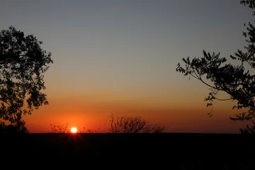 Fotobehang Bruin Sonnenuntergang - Krüger Park - Südafrika / Sundown - Kruger Park - South Africa /  © Ludwig