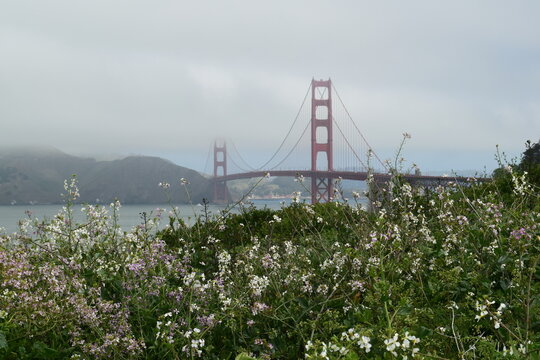  Bridge framed by flowers 