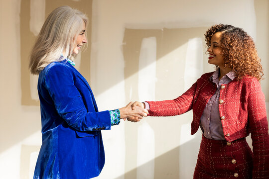 Real estate agent shaking hand to client in empty space