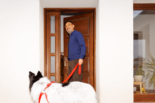 Dog walking time