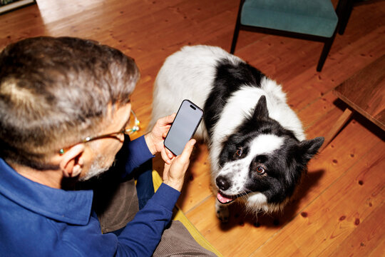 Man taps dog attention