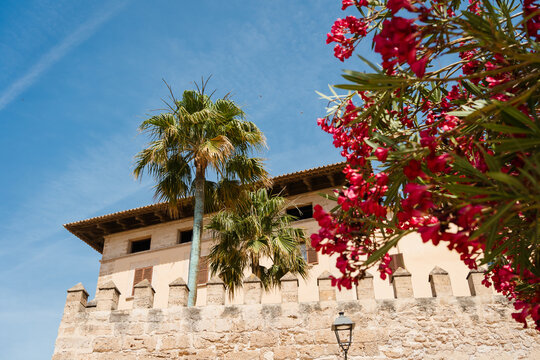 Architectural Details in the Historic Center of Majorca, Spain