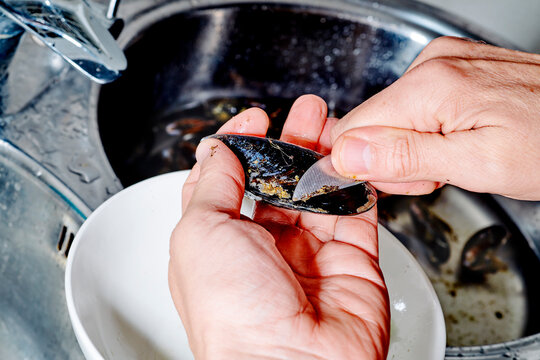 close-up of a man cleaning a mussel at a kitchen sink